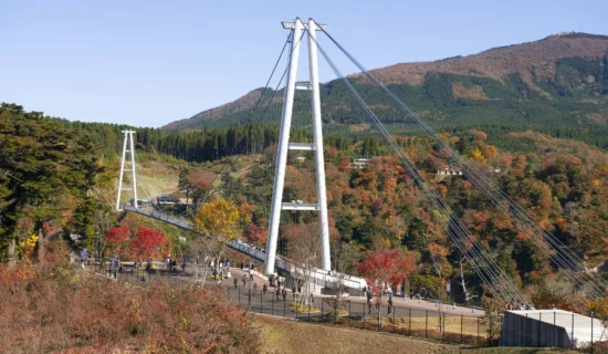 九重“夢”大吊橋