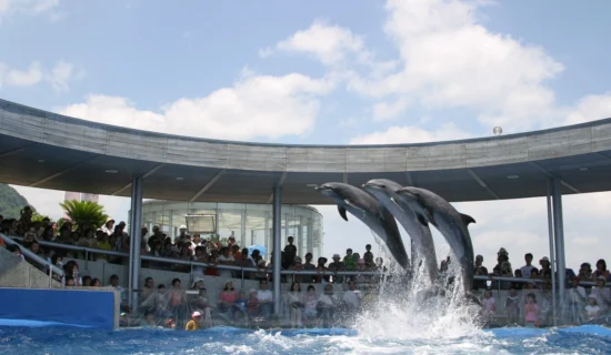 大分マリーンパレス水族館「うみたまご」
