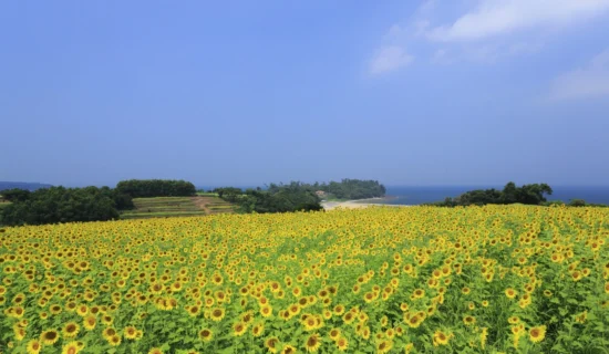 長崎鼻