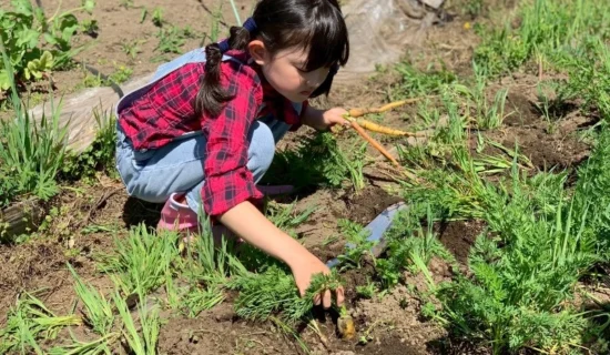 別府湾を一望できる農園 「Farm Sam」での秋の収穫体験