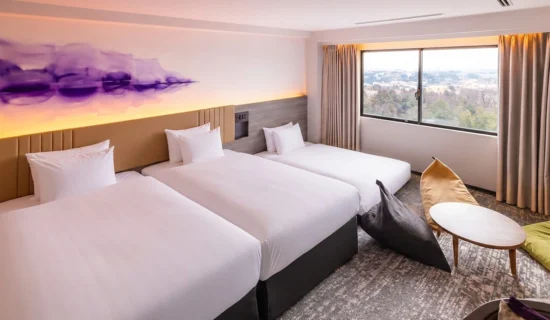 家庭行政室(單人床、抽屜床)